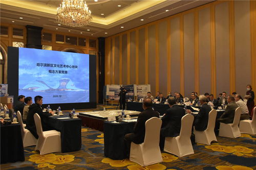 哈爾濱新區文化藝術中心項目建設邁出重要步伐 規劃設計招標圓滿完成，文化藝術交流活動蓄勢待發